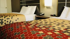 Econo Lodge Inn & Suites Murfreesboro Shopping District - Chambre