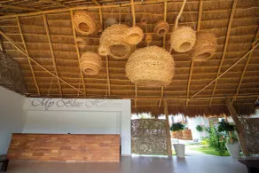 My Blue Hotel Holbox - Reception