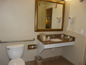 Comfort Inn Fort Myers Northeast - Bathroom