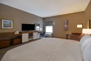 Hampton Inn Birmingham-Colonnade 280 - Room