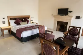 Hotel Green Castle (Heritage Hotel) - Room