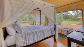 Dubbo Rhino Lodge - View from room