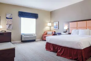 Hampton Inn Baton Rouge - Denham Springs - Chambre