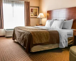 Quality Inn Near Interstate I94 - Chambre