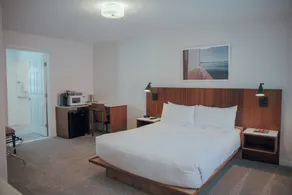 Skaneateles Boutique Hotel - Chambre