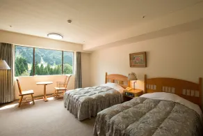 Tateyama Kokusai Hotel - Habitación