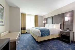 Comfort Suites Humble Houston IAH - Habitación