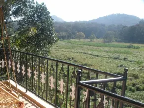 Jungle Palace Homestay - View from room