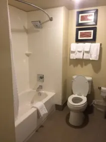 Comfort Suites Woodland - Sacramento Airport - Salle de bain