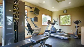 Best Western Alexandria Inn - Sala de fitness