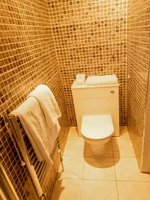 OYO Lamphey Hall - Salle de bain