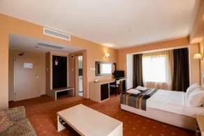 Hotel Oxford Inn & Suites - Room