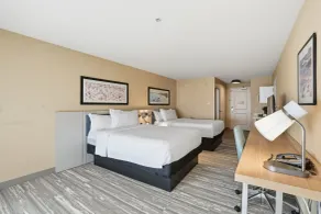 Hilton Garden Inn San Diego Del Mar - Room
