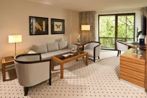 Maritim Hotel Bad Homburg - Vue de la chambre