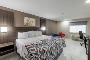Red Roof Inn Pharr - McAllen - Chambre