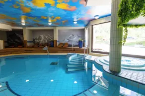 Hotel Kranjska Gora  - Pool