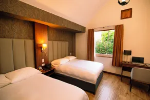 La Maison d'Elise - Room