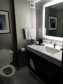 Embassy Suites Syracuse - Salle de bain