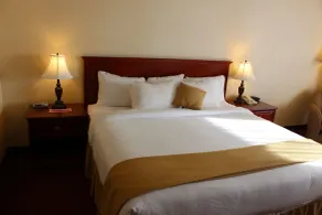 Quality Inn & Suites Edmonton International Airport - Room