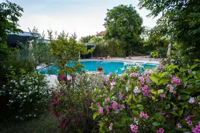 Albergo La Primula - Pool