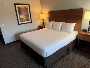 American Inn & Suites - Værelse