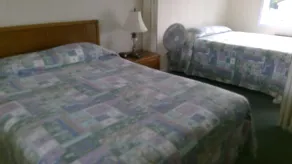 VILLAGE GREEN MOTEL - Chambre