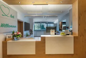 Studio adapté aux familles avec terrasse, piscine et sauna | À côté du ski | Avec animaux autorisés - Réception