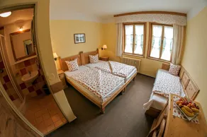Alpský Hotel - Chambre