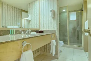 Carriage Ridge Resort, an Ascend Collection Resort - Banheiro