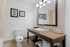 Country Inn & Suites by Radisson, Macon North, GA - Salle de bain