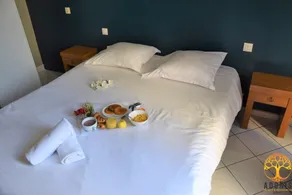 Adonis Sanary Grand Hôtel des Bains - Vue de la chambre