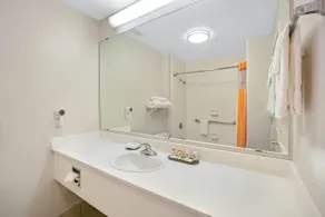 La Quinta by Wyndham DFW Airport South / Irving - Salle de bain