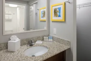 Hampton Inn & Suites by Hilton Miami-Doral/Dolphin Mall - Salle de bain