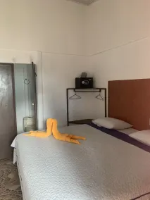 Gallina E Palo Beachfront Hotel - Chambre