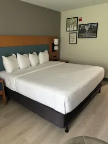 Country Inn & Suites by Radisson, Shelby, NC - Chambre