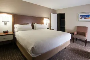 Holiday Inn Express & Suites Nashville-I-40 & I-24(Spence Lane) by IHG - Værelse