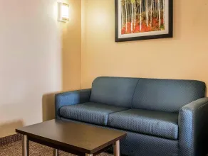 Comfort Suites Miamisburg - Dayton South - Room