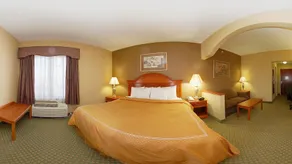 Comfort Suites Springfield I-70 - Chambre