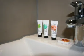 Amosa Liège City Centre Apart Regence 17 - Bagno
