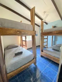 Tropical Camas Surf House - Room