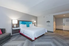 Hampton Inn Tampa-Veterans Expwy (Airport North) - Chambre