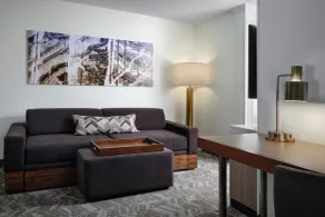SpringHill Suites Nashville MetroCenter - Chambre