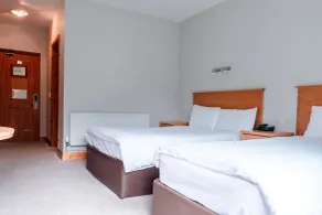 The Lodge at Woodenbridge - Room