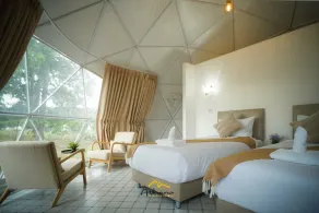 Athena Glamping Khaoyai - Room