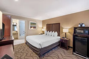 Best Western Plus Orchid Hotel & Suites - Chambre