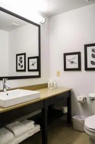 Country Inn & Suites by Radisson, Washington Dulles International Airport, VA - Chambre