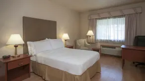 Holiday Inn Express Chihuahua by IHG - Chambre