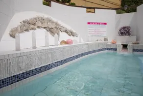 Kur and Hotel Isawa - Piscine