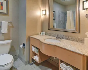 Comfort Suites Lindale - Room
