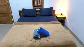 Puri Raka Villa - Room